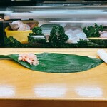 亀庄寿司 - カウンター