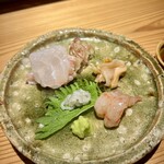 和味 志元 - お造り