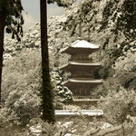 Kouyoukan - 雪化粧の三重の塔