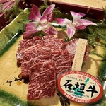 肉の変態集団 疾風ホルモン - 