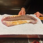 ななにん - 6キロの真鯛