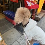 川崎大師 松山 - 入っちゃだめだめｗ