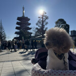 寺子屋本舗 - 目の前で写真撮影ｗ