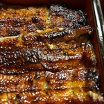 鰻 むさし乃 - 鰻重アップ