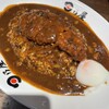 日乃屋カレー JR川崎タワー店