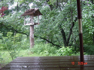 Teuchi Soba Shinano Ya Kichibee - 鳥の餌台