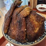 炭火鰻と特選和牛ふじさん - 