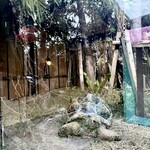 Blue Turtle Farm Mango Cafe - 