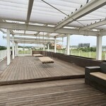 Blue Turtle Farm Mango Cafe - 