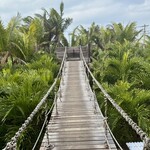 Blue Turtle Farm Mango Cafe - 