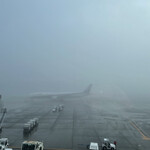 北菓楼 - 濃霧　1時間遅れで無事飛びました✈️