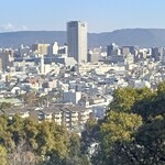 讃州めんめ - カウンター席からの眺め。高松市内が見下ろせる。