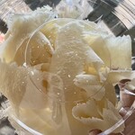 アルゾーニ・イタリア - 