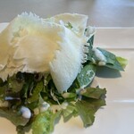 アルゾーニ・イタリア - 