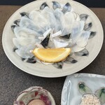 日本料理 TOBIUME - 5.6年もの…天然虎河豚　造り