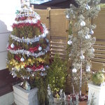 ダンデリオン - クリスマス仕様