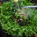 ジンギスカン羊はち - 