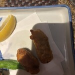 宇田川 紫扇 - 