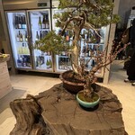 喜納屋恭兵衛商店 - 