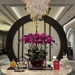 Man Ho Chinese Restaurant - 