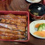 うなぎ亭 友栄 - 上うな重