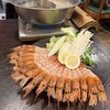 海老牡蠣酒場だるま