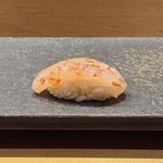 青山鮨孝 - 縞海老の昆布締め