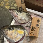 Hakata Manryo Bako - 