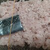山長餅菓子店 - 