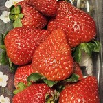 スーパーセンタートライアル - 料理写真: