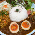 medo currysha - 