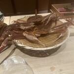 肉屋 田中 - 