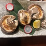 蔵の庄 - 登米の原木椎茸