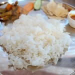 インド・ネパール料理　アーティ - ライス