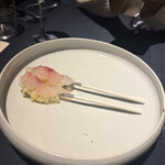 セルサルサーレ - 