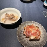 セルサルサーレ - 