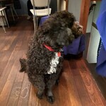 イノチェンテ - 