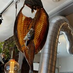 ウオゴコロ - ヒラメと鯵のオブジェ