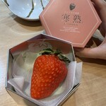 てんぷら 竹本 - 