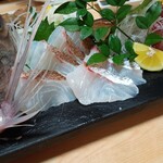 四国三郎 よしの川 - 