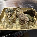 松本食 燎 KAGARIBI - 生牡蠣