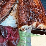 築地やまの - ・鰻重　¥1,300-（税込）