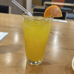 だもんで餃子 - 三ケ日ミカンスカッシュ