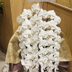 博多もつ鍋 やま中 - 