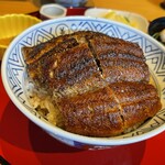 炭焼 うな富士 - うなぎ丼