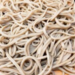 手打ち蕎麦 朝日屋 - 2026年1月8日(木)  手打ち蕎麦朝日屋さん  十割蕎麦 1,100円