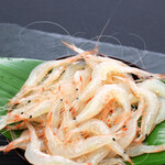 魚介ビストロｓａｓａｙａｋｉｔｏｋｉｔｏ - 