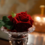 表参道うかい亭 - 卓上の薔薇の花 2014.12.2x