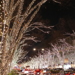 表参道うかい亭 - 表参道のイルミネーション 2014.12.2x