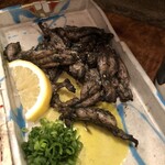 炭焼笑店 陽 - 